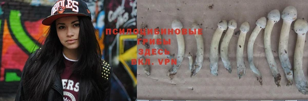 гашик Балахна