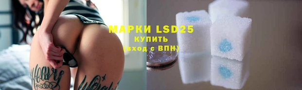 ПСИЛОЦИБИНОВЫЕ ГРИБЫ Покров