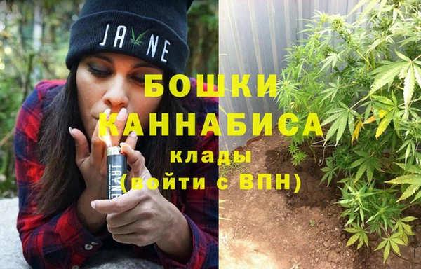 гашик Балахна